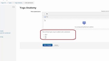 Assignment File Type Restrictions