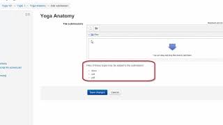 Assignment File Type Restrictions