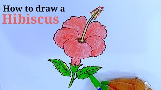 How to draw a Hibiscus flower/Hibiscus drawing step by step/Hibiscus drawing easy/Jhankar Art