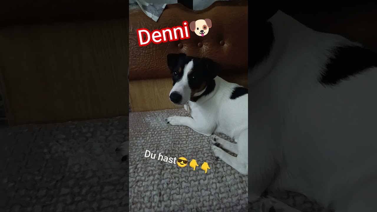#denni