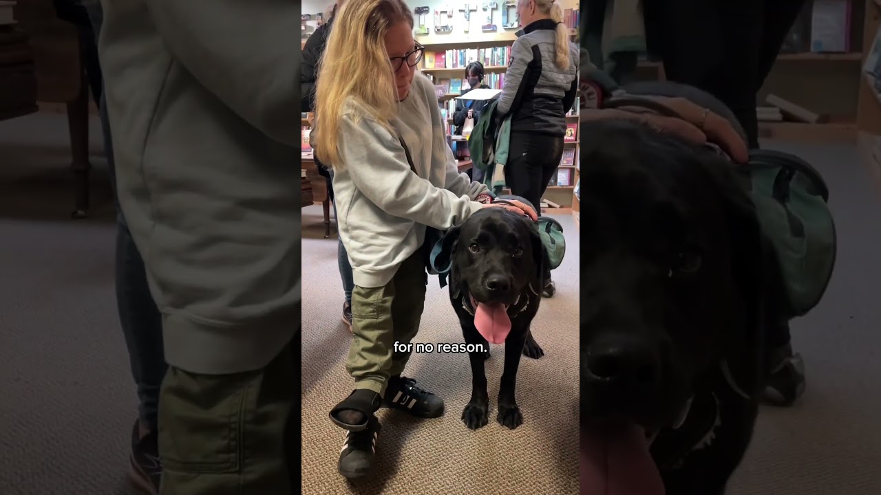 #Инвалидность