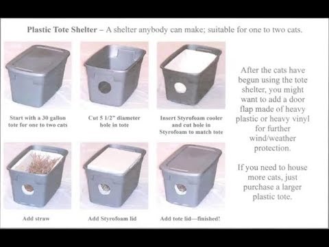 Purchase Diy Cat House For Winter Up To 66 Off - Outdoor Feral Cat House Diy
