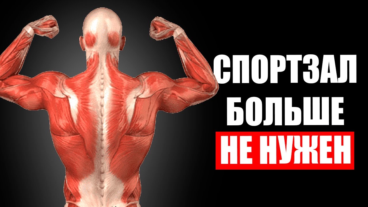 Arginine Aakg ����������: ����.