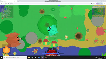 1v1 Tutorial Mope.io