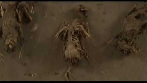 Session 9 | Theatrical Trailer | 2001