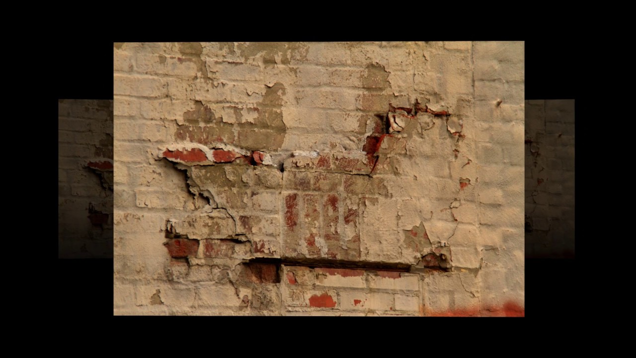 DynamicTension (photos by Terrie Johnson)