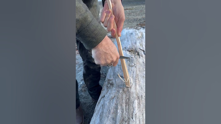 Best way to start a campfire? Feather sticks!