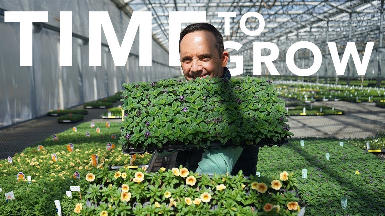 Greenhouse Behind the Scenes Bradford Greenhouses YouTube
