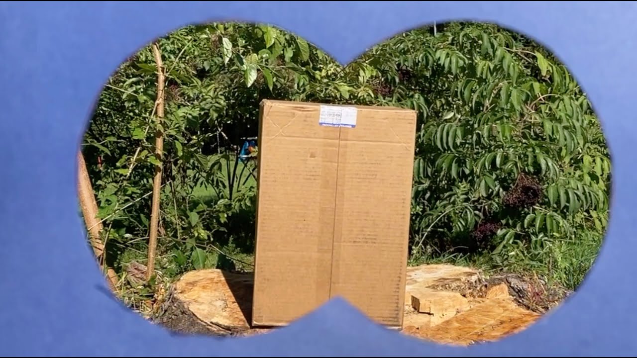 Ununboxing The Naming Song YouTube