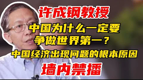 【墙内禁播】许成钢：中国为什么一定要争做世界第一？中国经济出现问题的根本原因