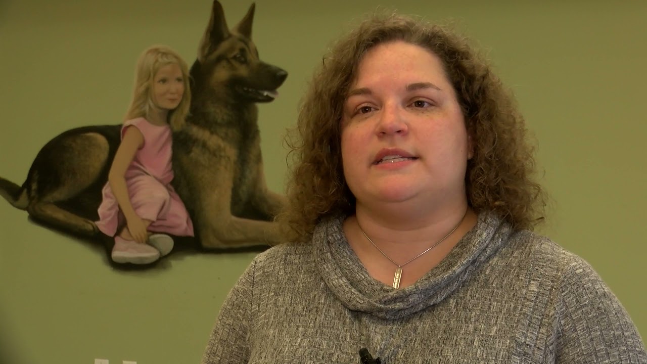 Digital Exclusive: Shelter dog from Erie Humane Society becoming service canine