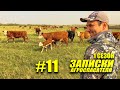#11 Техника, животноводство, обработка