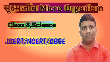 सूक्ष्मजीव: सूक्ष्मजीवों के प्रकार। micro-organisms |types of micro organisms|class 8 science|JCERT