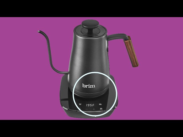 brim Temperature Control Electric Gooseneck Kettle with Capacitive Touch,  Black