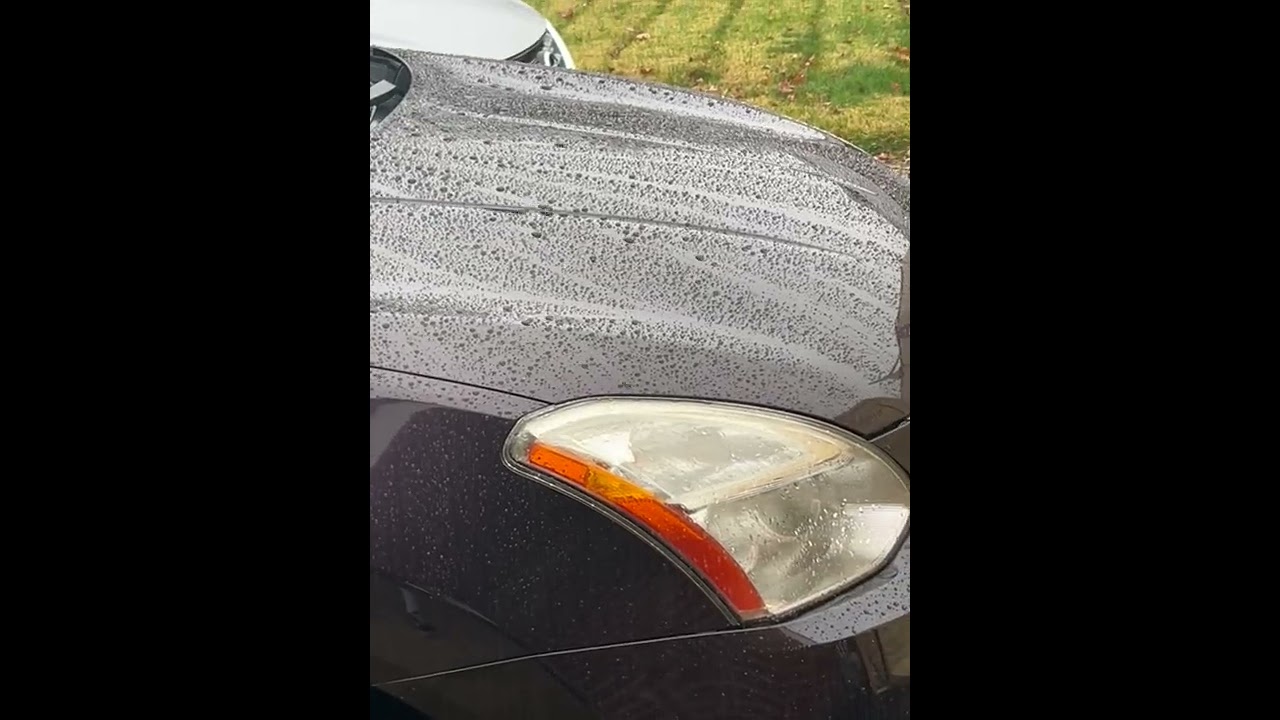 Ceramic Coating Water Beading