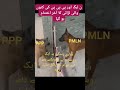 ن اور پی پی کی کتوں والی لڑائی آخر اختتام کو پہنچی