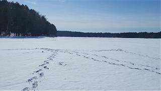 Ice Fishing on Deer Lake - Tomahawk, WI - Feb 2026