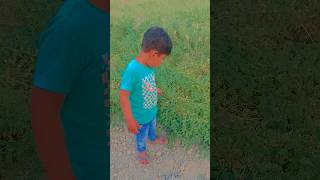 वेद के नानी का खेत 🕺🙏#shorts #youtubeshorts #funny #viral #ved