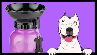 High Wave AutoDogMug review: Portable hydration for dogs, but Does Stella approve