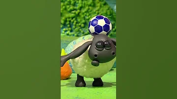 Looks Like Timmy Is Having So Much Fun Timmy Time Shorts Aardman 