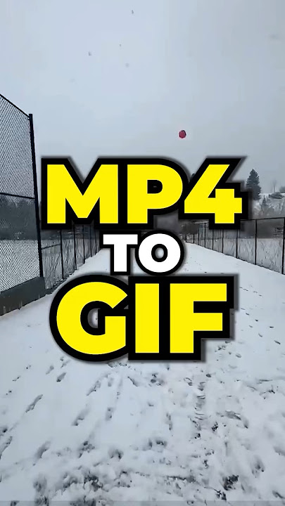 MP4 to GIF | Flixier 📽️✨