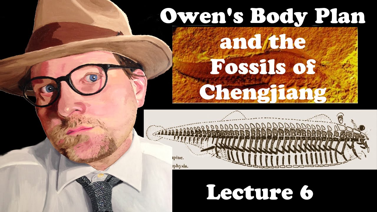 Lecture 6 Owen's Body Plan and the Fossils of Chengjiang