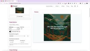 Resize Images Without Quality Loss - Picbolt Image Resizer Tutorial