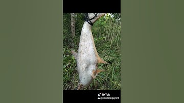 Từ Mỹ Tú đi câu cá ở đồng tháp