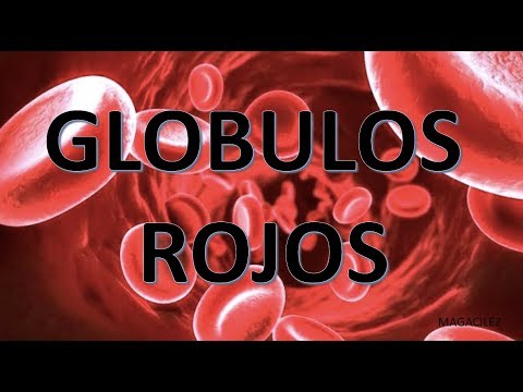 GLOBULOS ROJOS