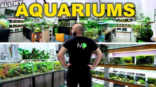 This Is My Fish Studio! 1000's of Fish 50 Aquariums (full tour)