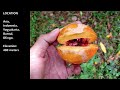 Beginning of video