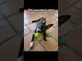 Shadow video