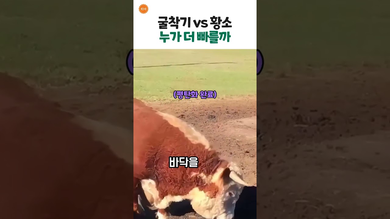 기사님 비켜보세요