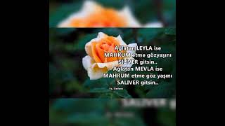 Salıver Gitsin..