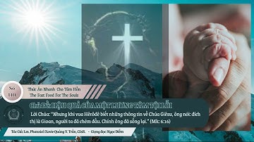 Thức Ăn Nhanh Cho Tâm Hồn_140: HẬU QUẢ CỦA MỘT LƯƠNG TÂM TỘI LỖI_Tác Giả: LM PX Quảng V. Trần, CSsR