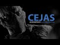 CEJAS | TEASER TRAILER | YAQ DISTRIBUCION | CORTOEMTRAJE | SHORTFILM