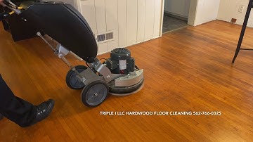 Triple I LLC Hardwood Floor cleaning, Orbot Vibe