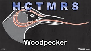How Creationism Taught Me Real Science 90 Woodpecker