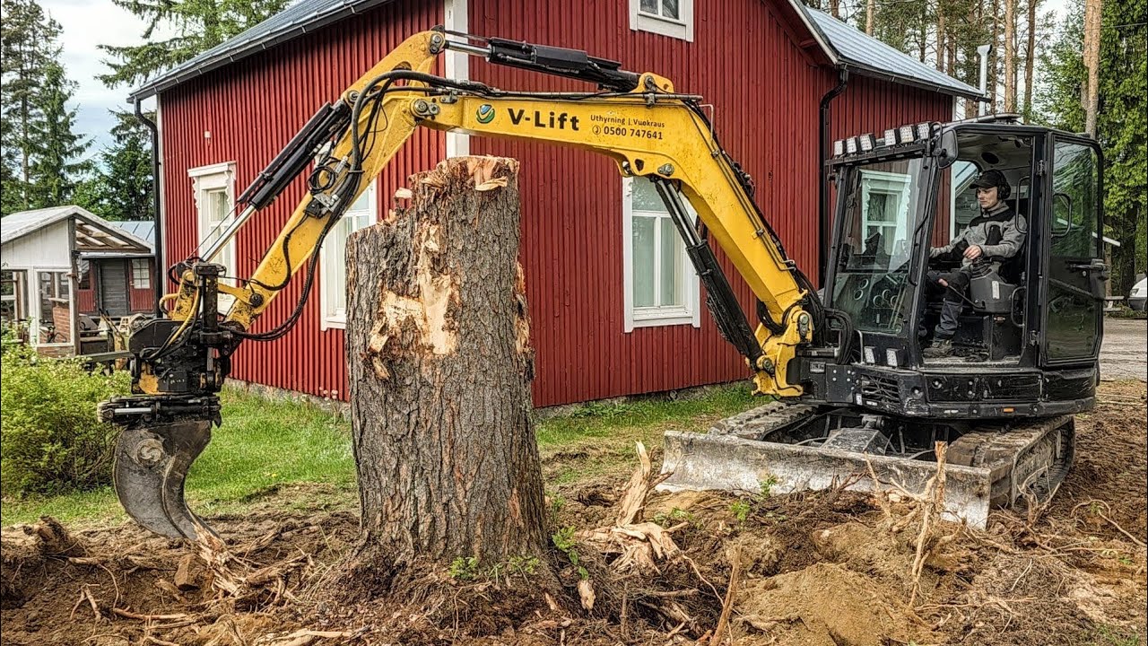 Trying to remove a huge tree stump with a Yanmar Excavator - YouTube