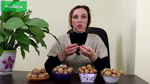 ГРЕЦКИЕ ОРЕХИ. Лучшие морозоустойчивые сорта!
