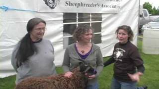 Shetland SheepBreeders Interview - BSG 2010