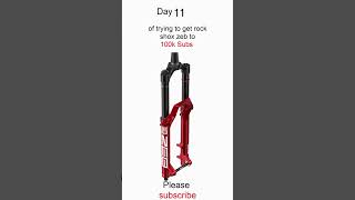 Day 11