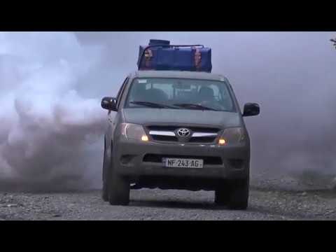 აზიური ფაროსანას შეწამვლითი სამუშაოები ფოთში 04 06 18