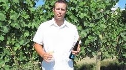 Peter Weis talks about Late Harvest Riesling