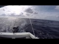 Catching Mahi 14 off Ft. Lauderdale