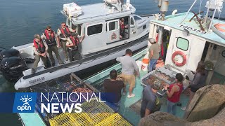 Mi’kmaw harvesters vow to keep fishing despite harassment from DFO officials | APTN News