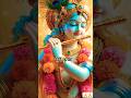 Baba kar le tu ithe bhi najar || बाबा कर ले तू इथे भी नजर 🙏#trending#krishna #shorts