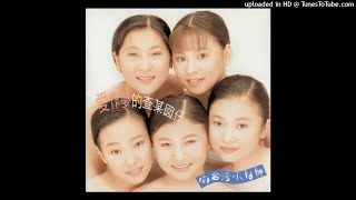 1996南台灣小姑娘(王秀琪) - 放捒你我心毋甘Pak-sat Lí Guá Sim M̄-kam(原唱：張秀卿)