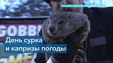 День сурка-2023