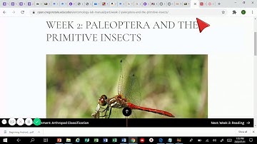 Adding an ebook on a blackboard course